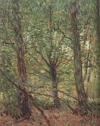 Vincent Van Gogh Trees adn Undergrowth (nn04) USA oil painting reproduction